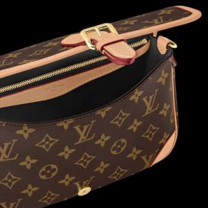 Louis Vuitton diane - Image 3